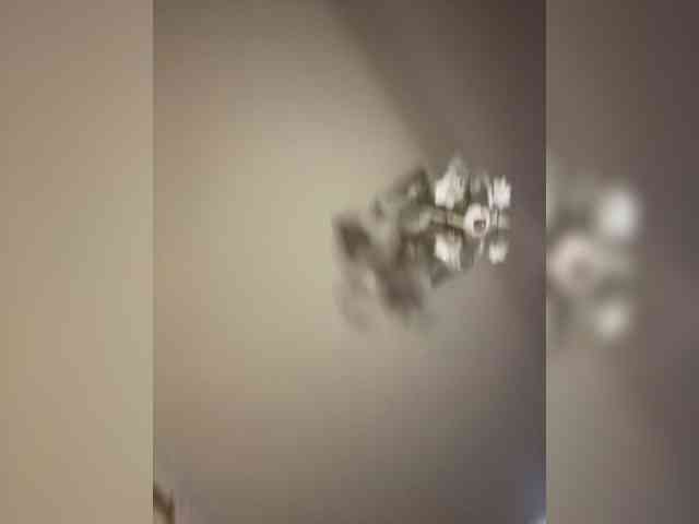 The-best-babies's chat room