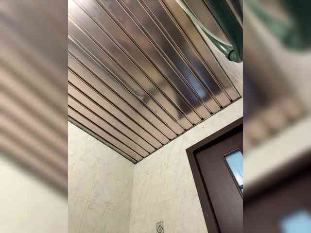 MilaLuxury's chat room