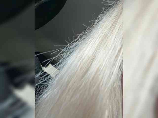 -Lovensesgirl-'s chat room