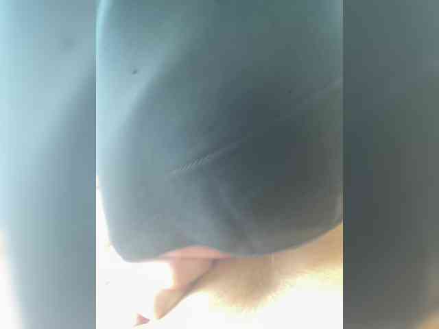 hiddenCrazySlut's chat room