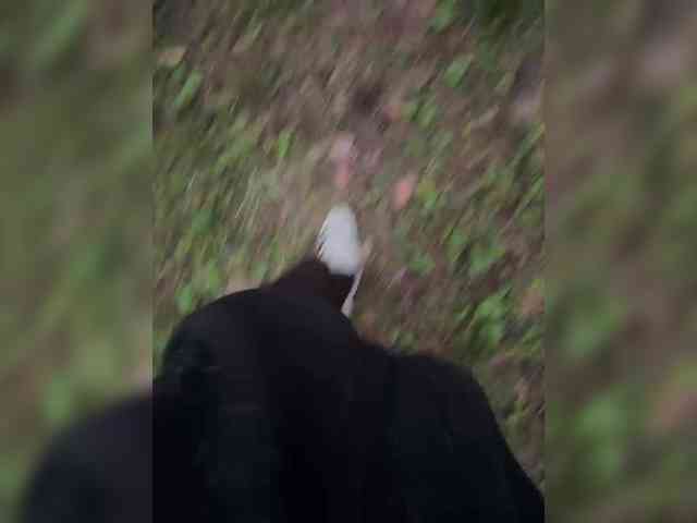 Ekaterina2221's chat room