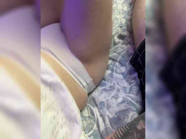 PlayPaws's chat room