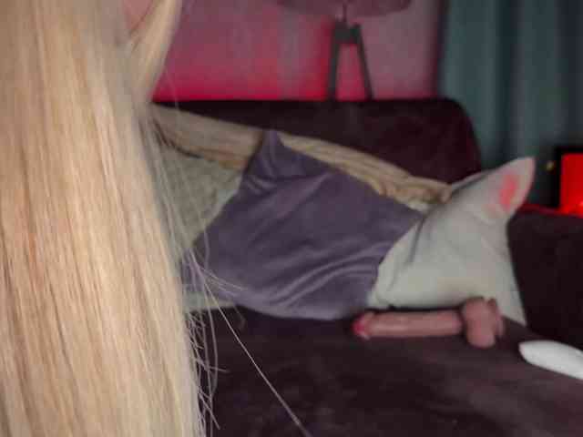 PinkFoxya's chat room