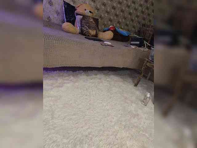 _Darina_Andreevna_'s chat room