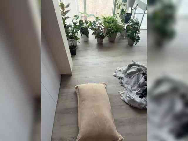 KatyKatS's chat room