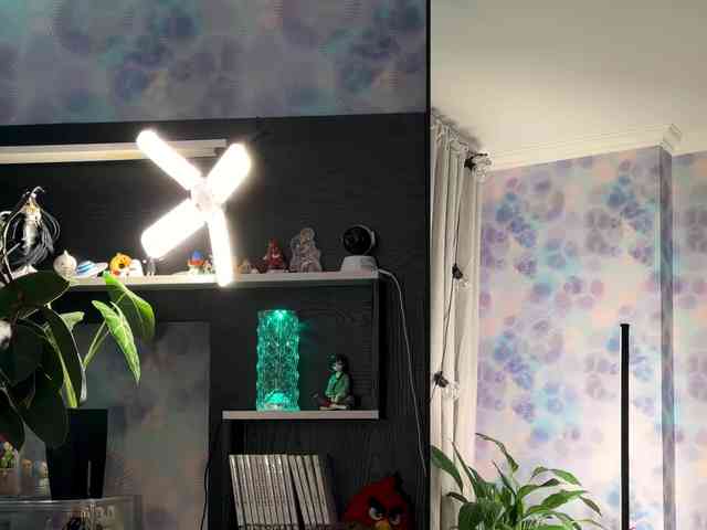 Kira_Li_Lime's chat room