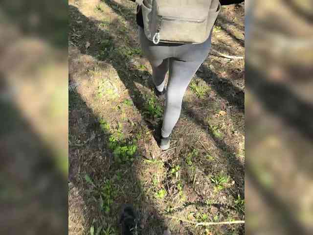 Sun-Moon's chat room