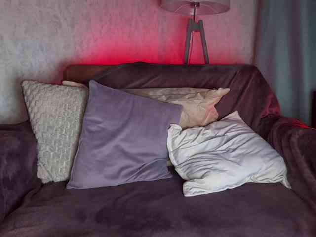 PinkFoxya's chat room