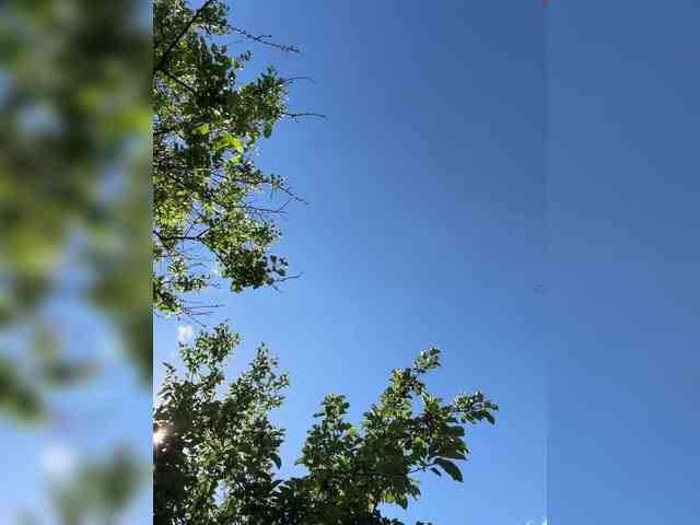 -SweetNatali-'s chat room