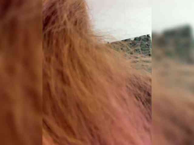 _Ellidi_'s chat room