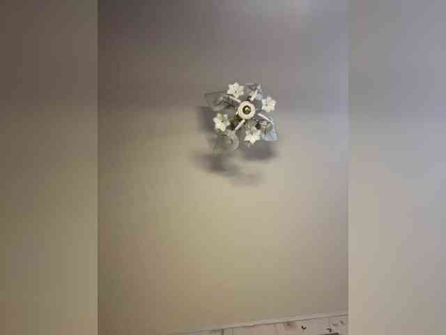 The-best-babies's chat room