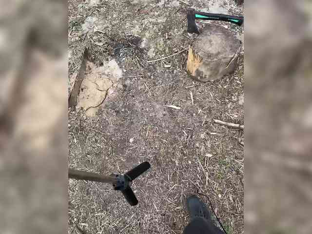 Sun-Moon's chat room