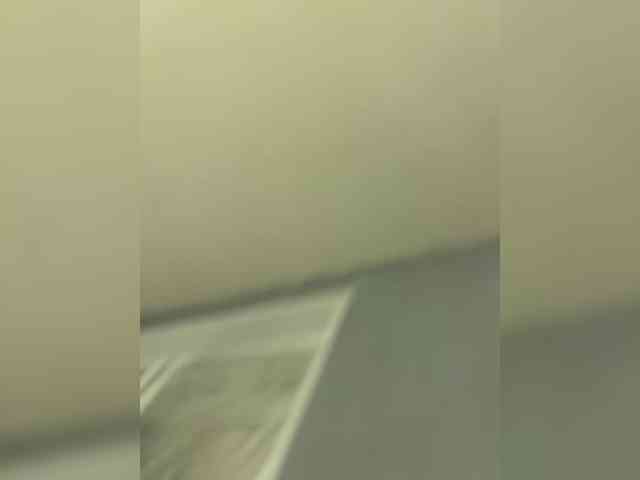 zmeiiiiiii's chat room