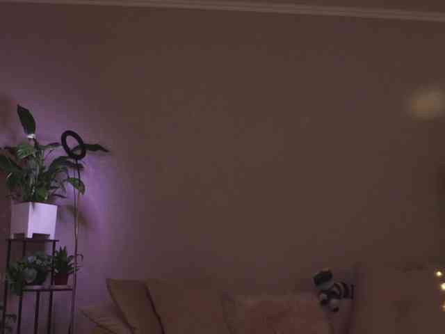 KOTTYAA's chat room
