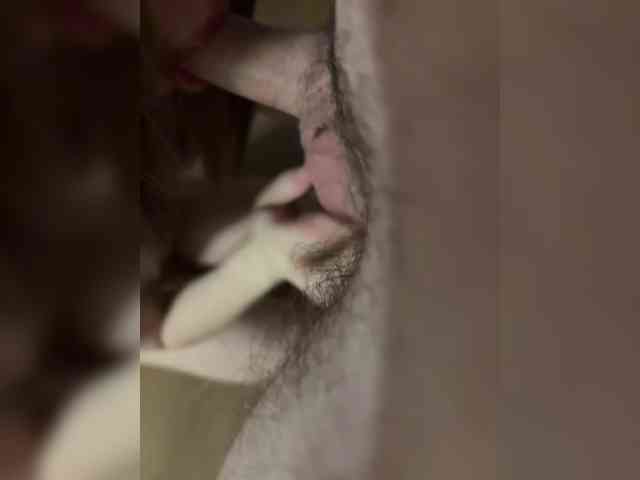 TheDiamondGirl's chat room