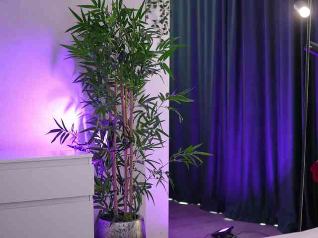 ArtTeasee's chat room