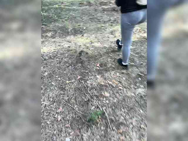 Sun-Moon's chat room