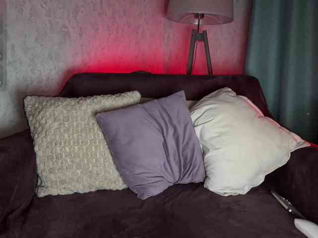 PinkFoxya's chat room