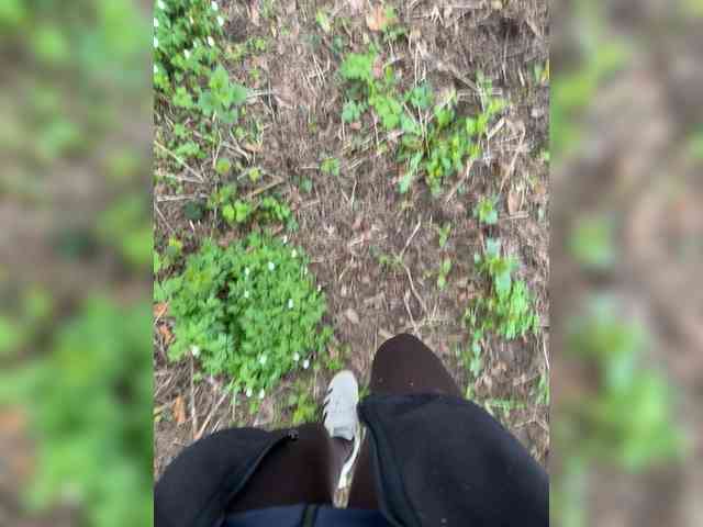 Ekaterina2221's chat room