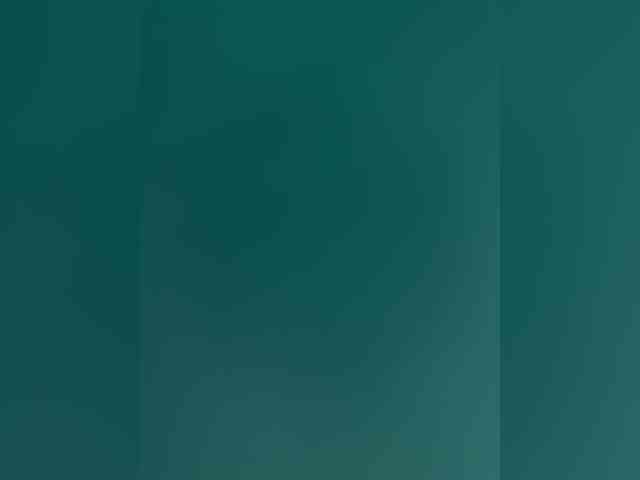 VolgaStudia's chat room