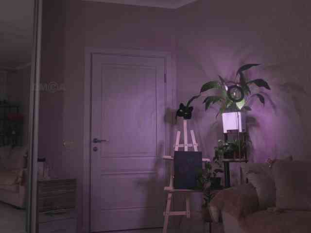 KOTTYAA's chat room