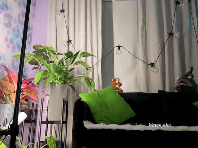 Kira_Li_Lime's chat room