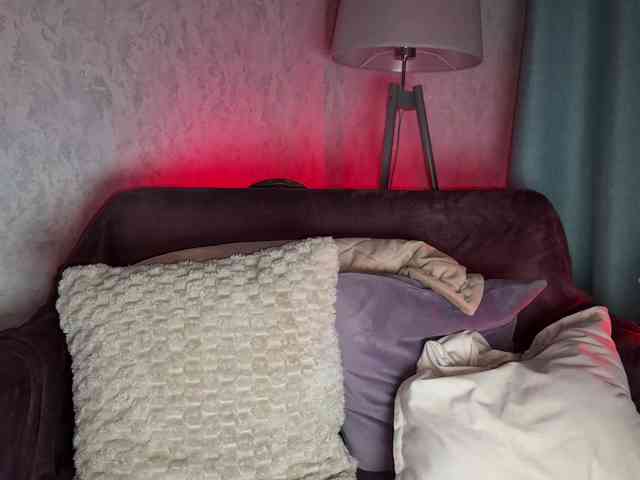 PinkFoxya's chat room