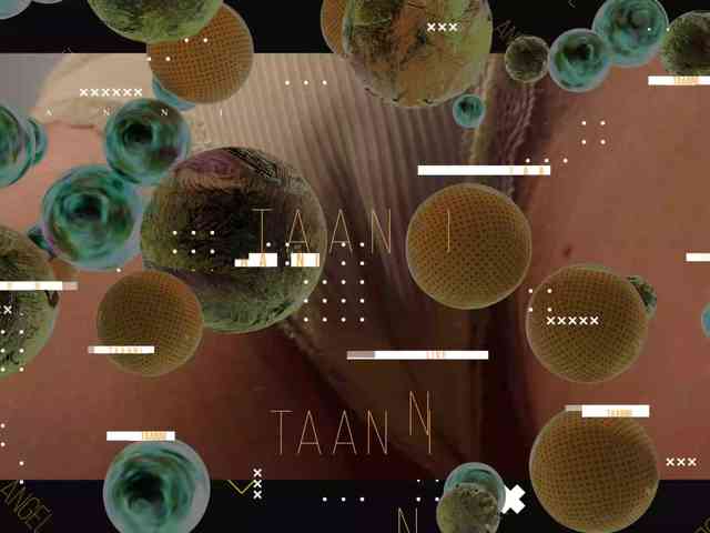 Taanni's chat room