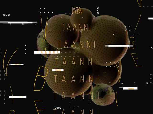 Taanni's chat room