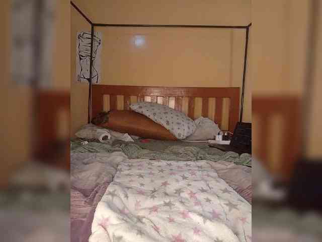 COUGAR-AND-CUB's chat room