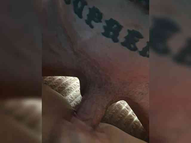 Lickybaby2168's chat room