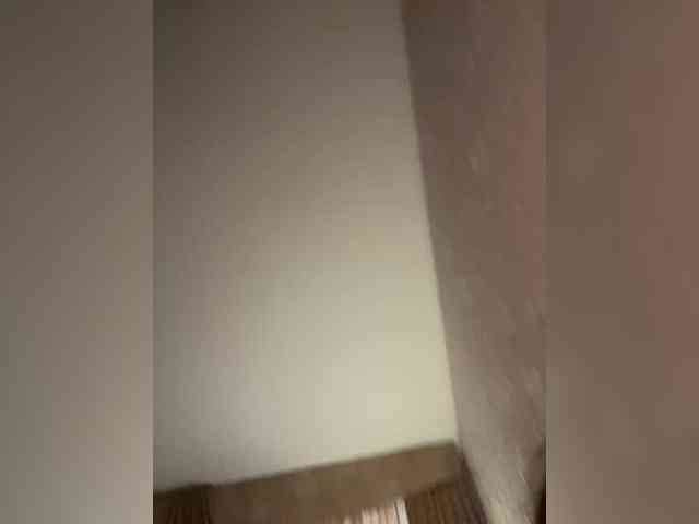 Bomboclatto's chat room
