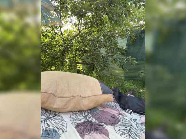 -SweetNatali-'s chat room