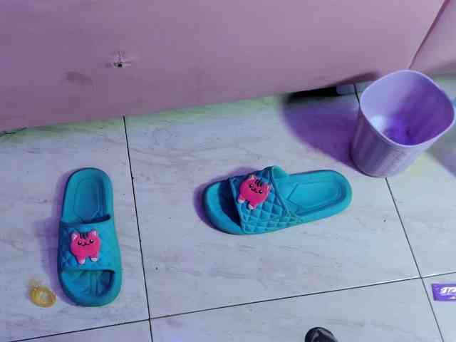 room-kitty's chat room