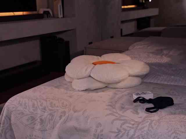 AlexisGrays's chat room