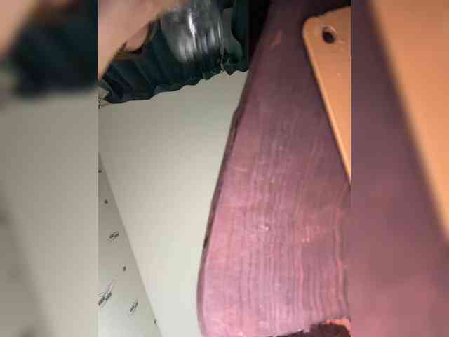 StasyaLike's chat room