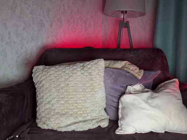 PinkFoxya's chat room