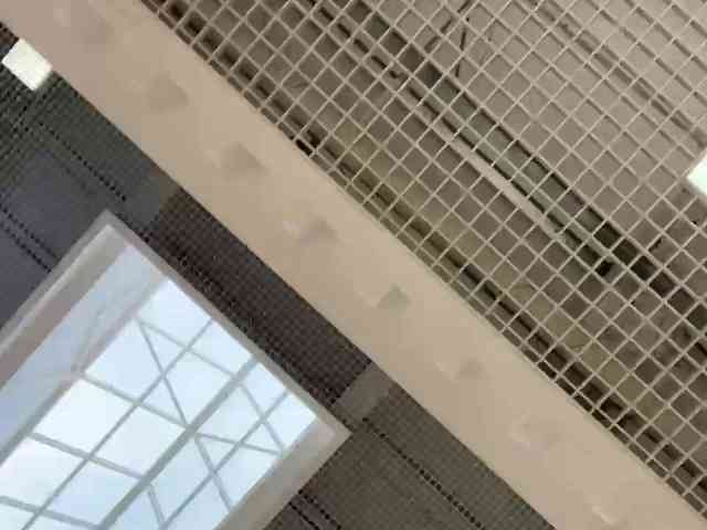 OlivkaVif's chat room