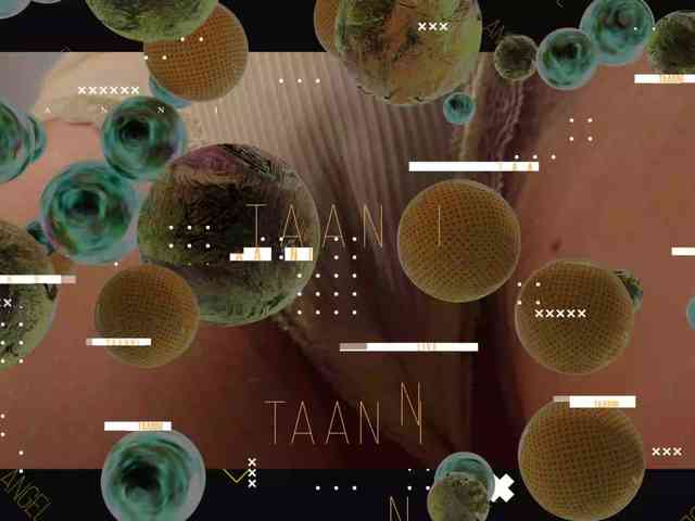 Taanni's chat room