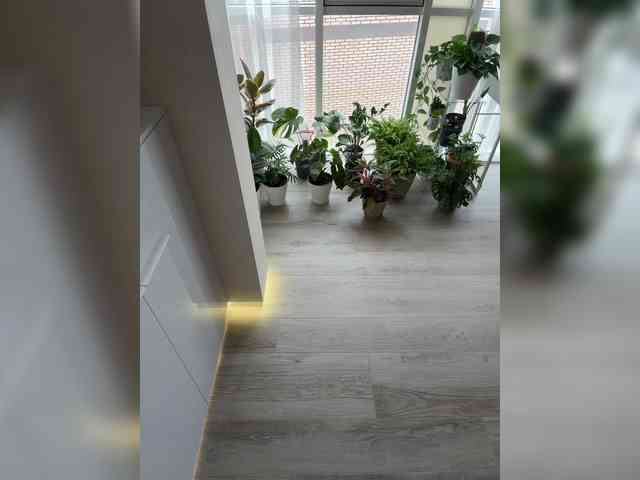 KatyKatS's chat room