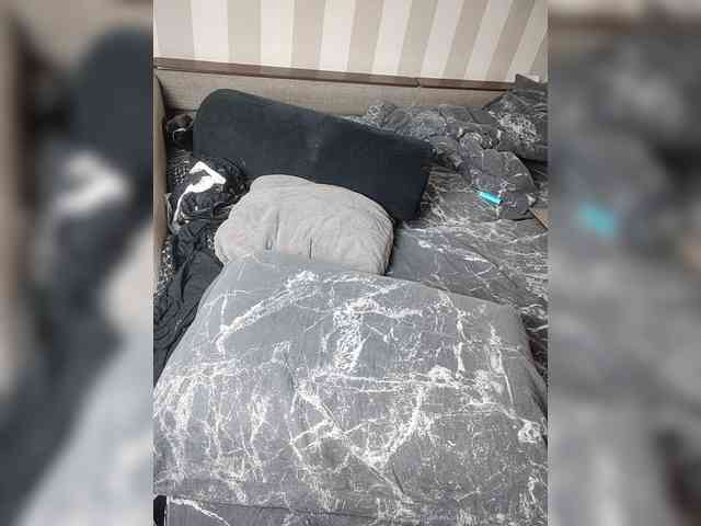 Oleg_lily's chat room