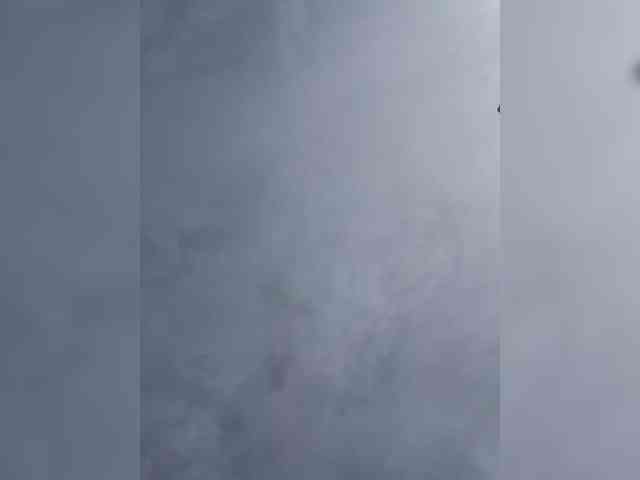 OrgazMia's chat room