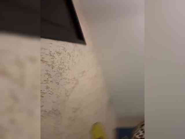 LittleDelora's chat room