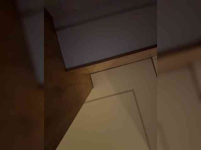 Pekkaboo's chat room