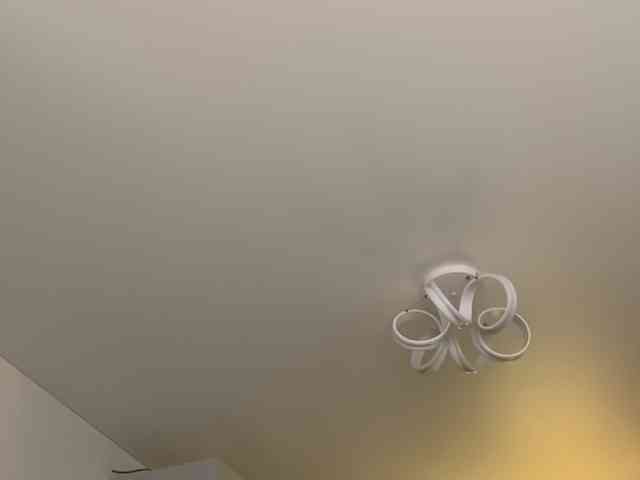 Stasya-moor's chat room