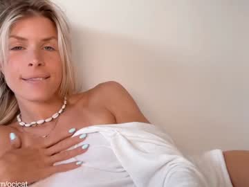 ocicat's chat room