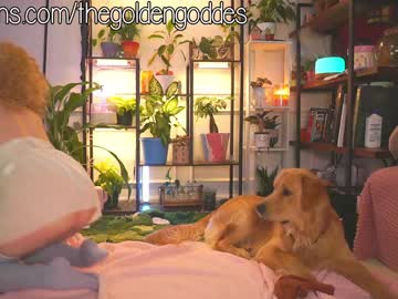 goldengoddessxxx's chat room