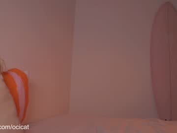 ocicat's chat room