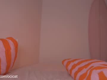 ocicat's chat room