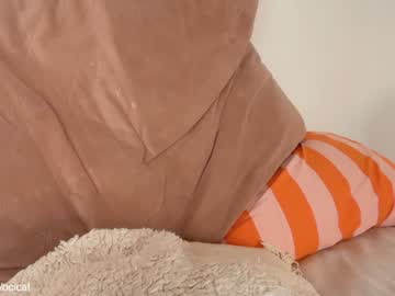 ocicat's chat room